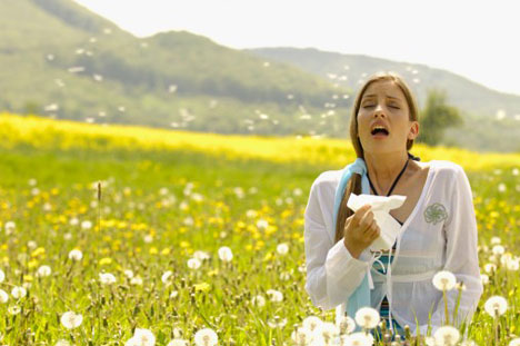http://essentialhealing.files.wordpress.com/2009/03/pollen-helps-allergies-phot.jpg